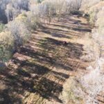 Property photo for land for sale in Wilkinson County Mississippi