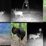 Property photo for land for sale in Jefferson County Mississippi