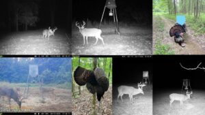 Property photo for land for sale in Jefferson County Mississippi