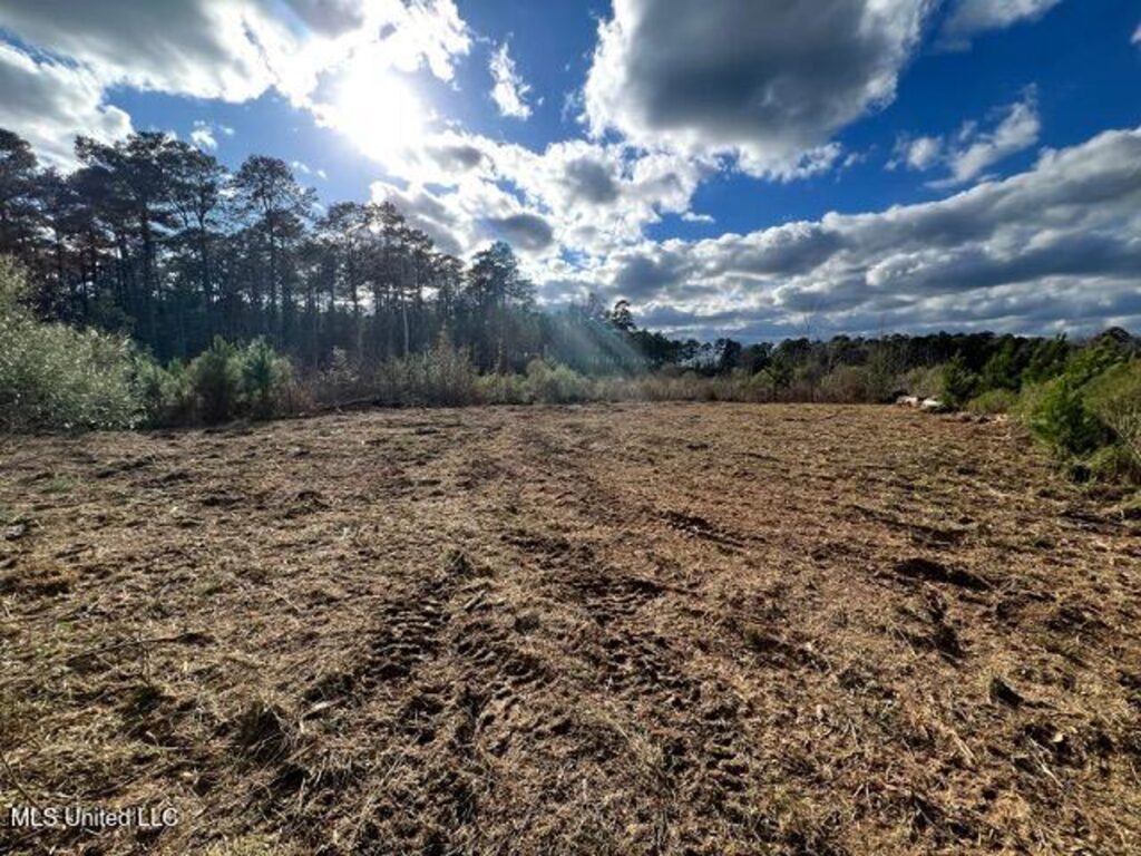 Property photo for land for sale in Amite County Mississippi