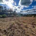 Property photo for land for sale in Amite County Mississippi