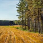 Property photo for land for sale in Choctaw County Mississippi