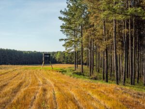 Property photo for land for sale in Choctaw County Mississippi