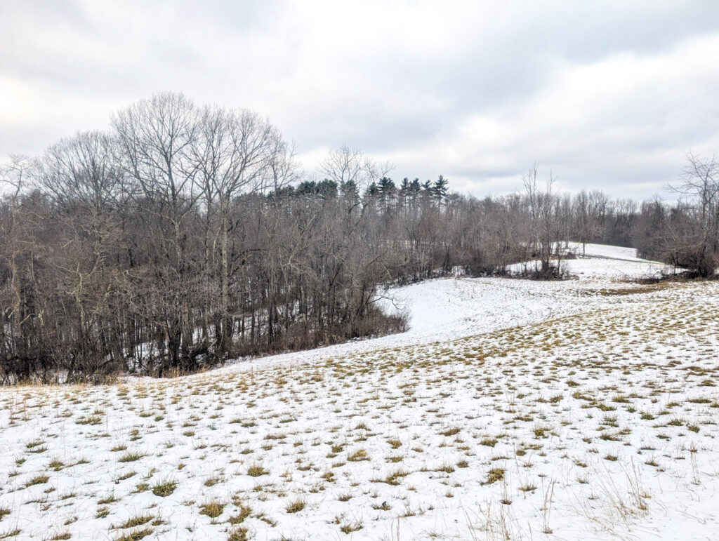 Property photo for land for sale in Noble County Ohio