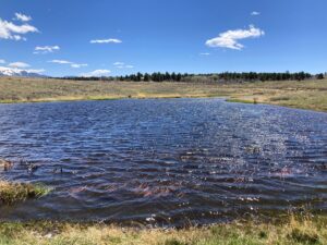 Property photo for land for sale in Ouray County Colorado