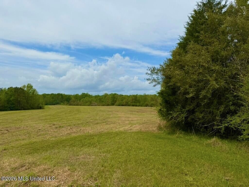 Property photo for land for sale in Lincoln County Mississippi