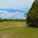 Property photo for land for sale in Lincoln County Mississippi
