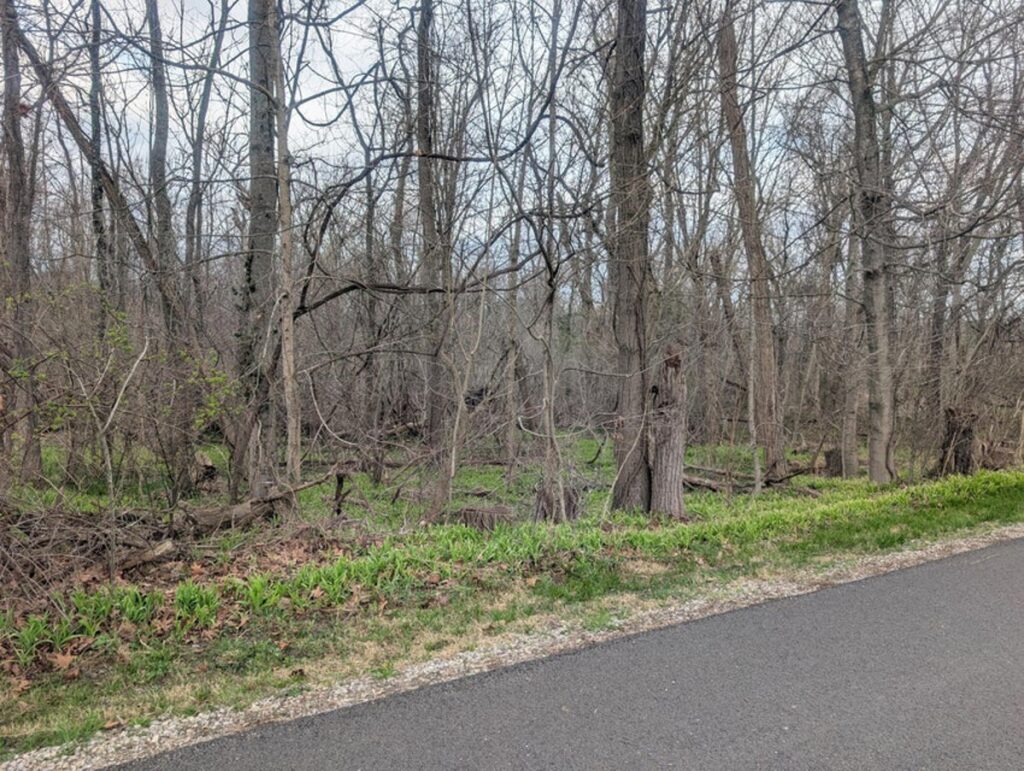 Property photo for land for sale in Perry County Ohio