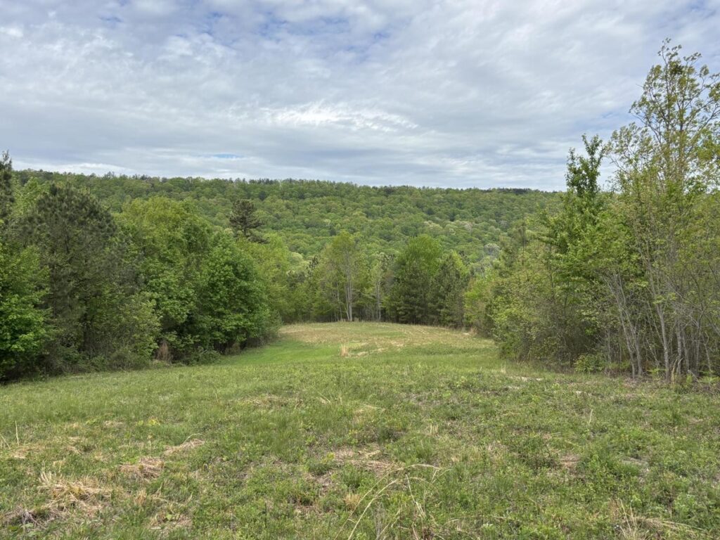 Property photo for land for sale in Hamilton County Tennessee