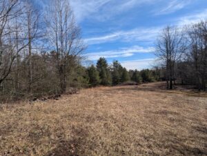 Property photo for land for sale in Patrick County Virginia