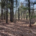 Property photo for land for sale in Monroe County Wisconsin