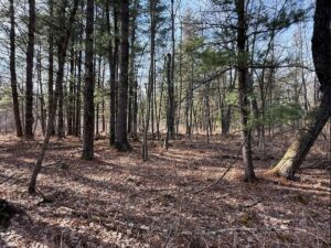 Property photo for land for sale in Monroe County Wisconsin