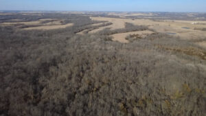 Property photo for land for sale in Decatur County Iowa