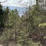Property photo for land for sale in Fulton County Arkansas