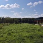 Property photo for land for sale in Perry County Tennessee