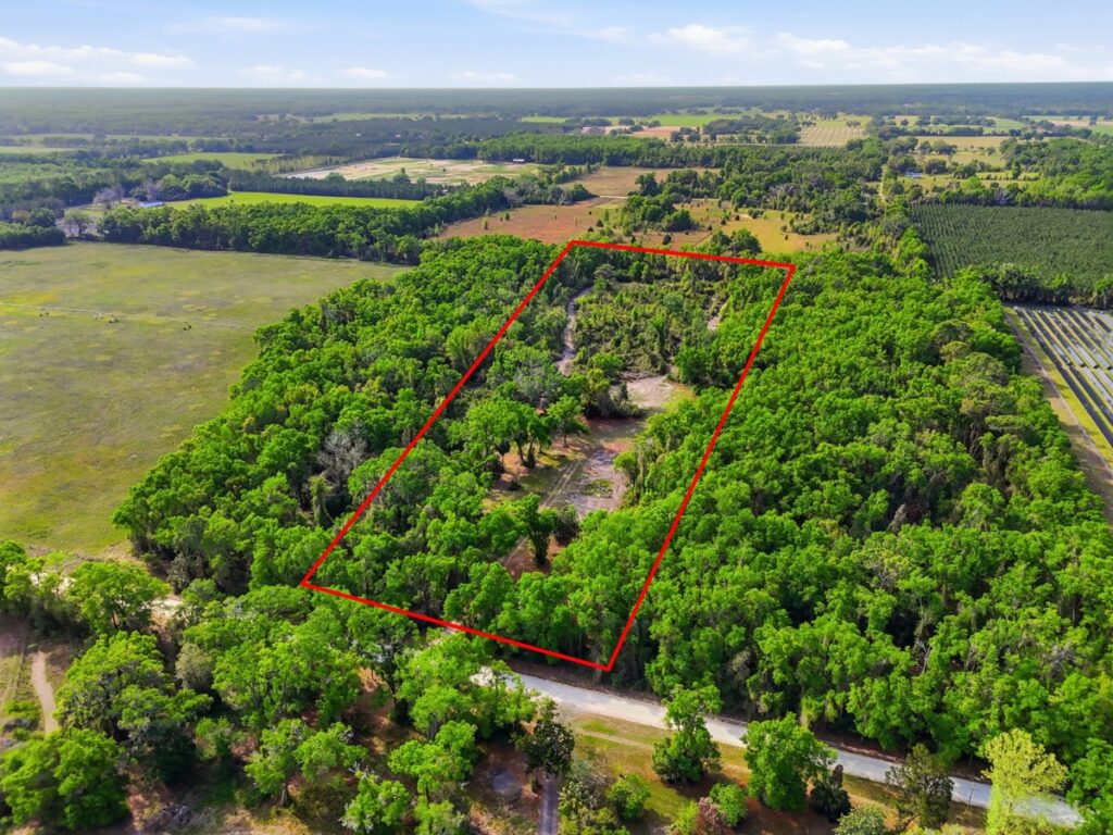 Property photo for land for sale in Levy County Florida