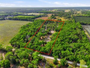 Property photo for land for sale in Levy County Florida