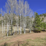 Property photo for land for sale in Teller County Colorado