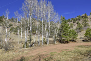 Property photo for land for sale in Teller County Colorado