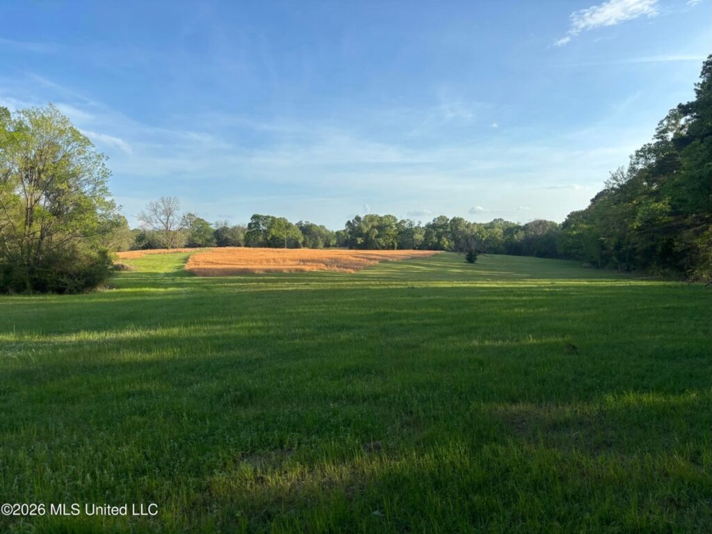 Property photo for land for sale in Hinds County Mississippi
