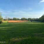 Property photo for land for sale in Hinds County Mississippi
