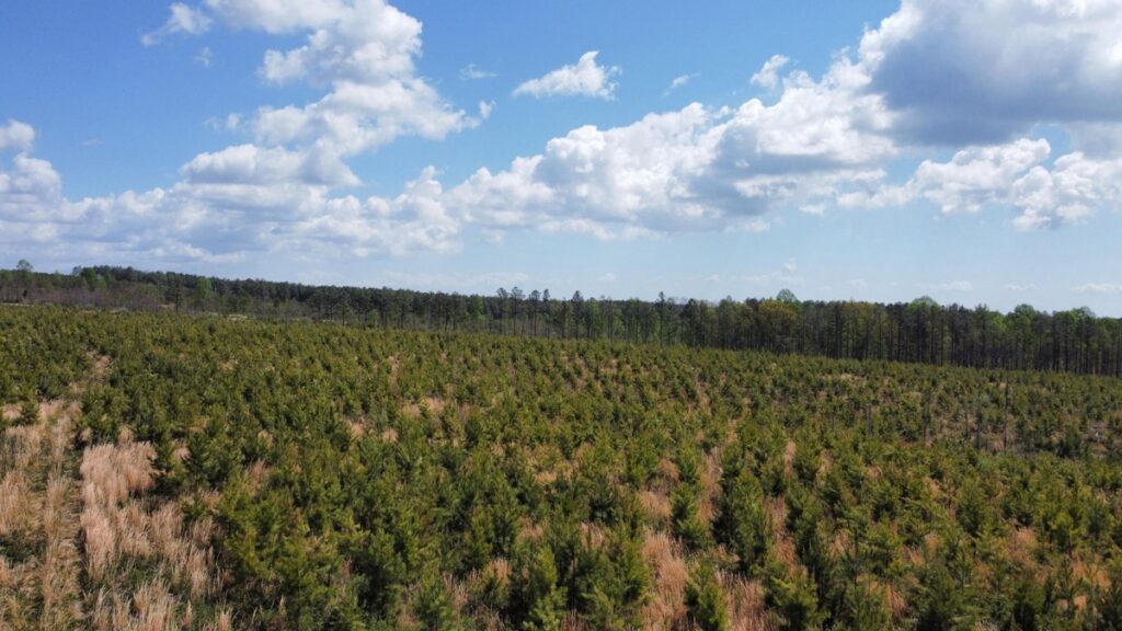 Property photo for land for sale in Sequatchie County Tennessee