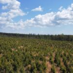 Property photo for land for sale in Sequatchie County Tennessee