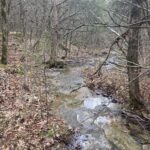 Property photo for land for sale in Sharp County Arkansas