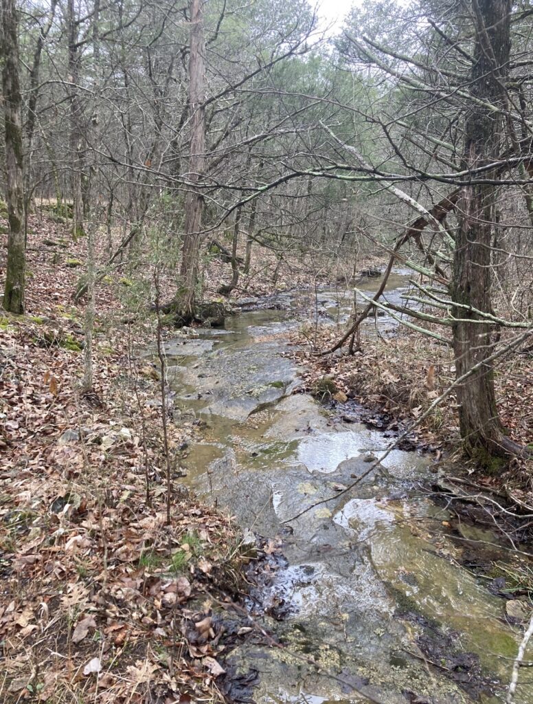 Property photo for land for sale in Sharp County Arkansas