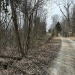 Property photo for land for sale in Clinton County Kentucky