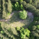 Property photo for land for sale in St. Helena County Louisiana