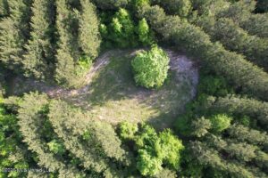 Property photo for land for sale in St. Helena County Louisiana