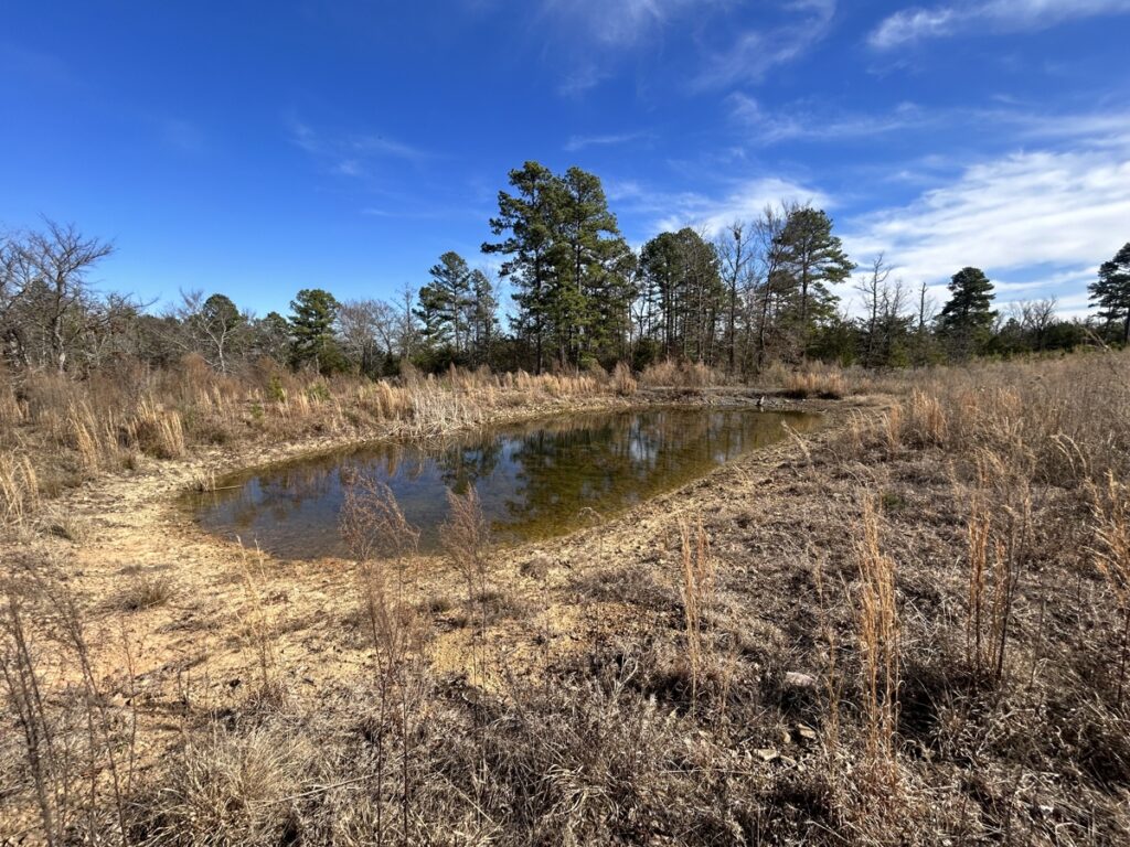 Property photo for land for sale in Pushmataha County Oklahoma
