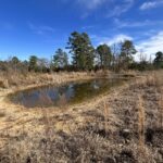 Property photo for land for sale in Pushmataha County Oklahoma
