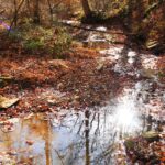 Property photo for land for sale in Metcalfe County Kentucky