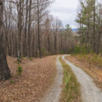 Property photo for land for sale in  County North Carolina
