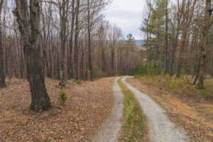 Property photo for land for sale in  County North Carolina