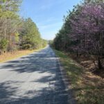 Property photo for land for sale in Buckingham County Virginia