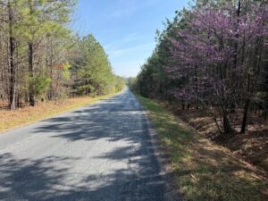 Property photo for land for sale in Buckingham County Virginia