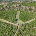 Property photo for land for sale in Amite County Mississippi