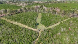 Property photo for land for sale in Amite County Mississippi