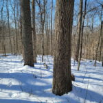 Property photo for land for sale in Monroe County Ohio