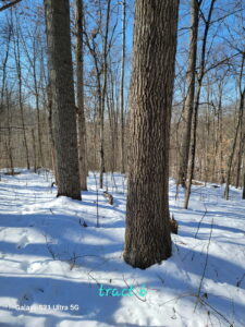 Property photo for land for sale in Monroe County Ohio