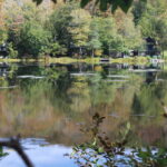 Property photo for land for sale in Sullivan County New York