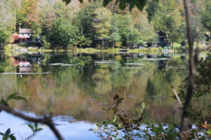 Property photo for land for sale in Sullivan County New York