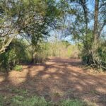 Property photo for land for sale in  County Alabama