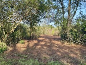 Property photo for land for sale in  County Alabama