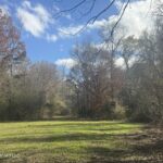 Property photo for land for sale in Walthall County Mississippi