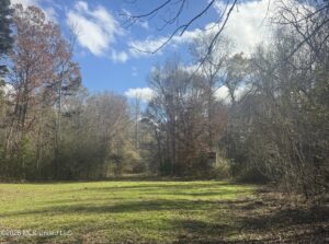 Property photo for land for sale in Walthall County Mississippi