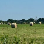 Property photo for land for sale in Garvin County Oklahoma